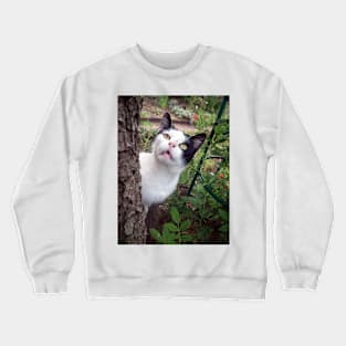 Tom cat Crewneck Sweatshirt